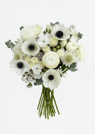 Scarletta White